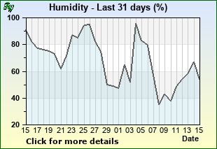 Humidity last 31 days