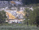 Old Mammoth Hot Springs (click to enlarge)